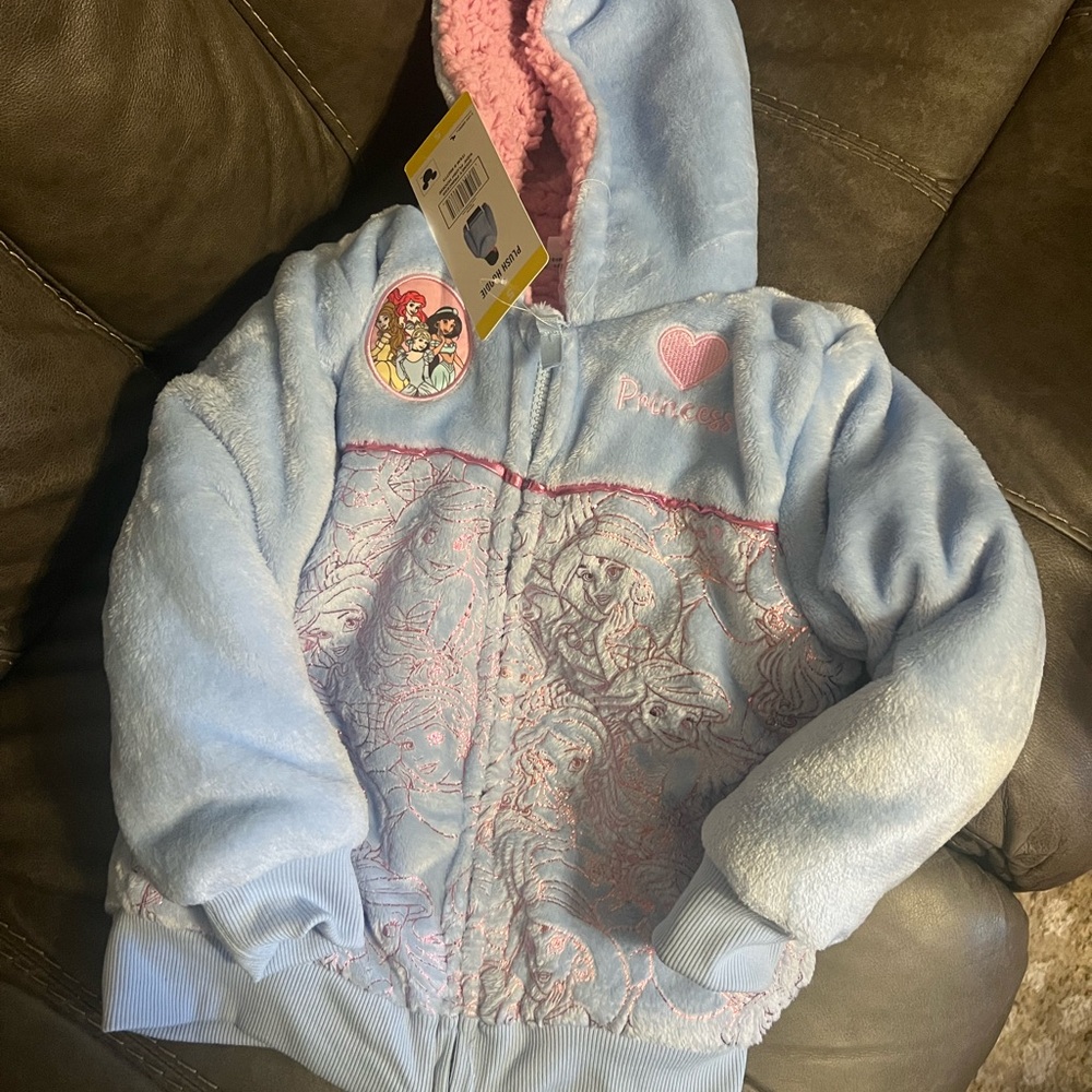 Disney Princess Light Blue and Pink Plush Hoodie